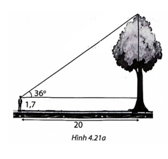 Một người đứng cách gốc cây 20 m nhìn thấy ngọn cây với góc 36 độ so với phương nằm ngang