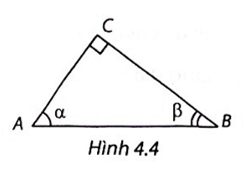 Chọn phương án đúng. Cho α, β là hai góc nhọn trong tam giác vuông ABC (H.4.4). Khi đó